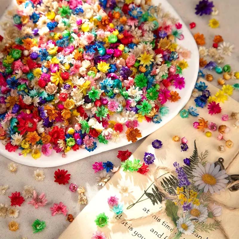 Mixed Colorful Flower for Wax  - đánh giá và giá Resin Art Design